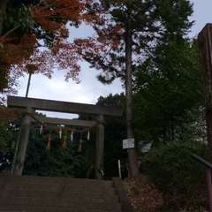 投稿日:2022年12月5日 写真