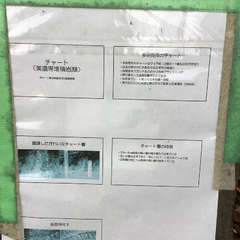 投稿日:2022年12月5日 写真