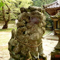 八幡神社(投稿日:2025年10月6日) 写真
