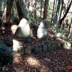 八剱八幡神社(投稿日:2025年8月26日) 写真