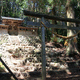 白山|八幡神社