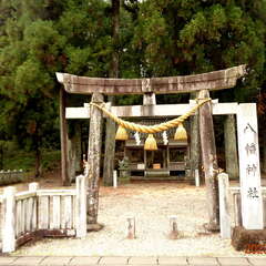 八幡神社(投稿日:2025年10月6日) 写真