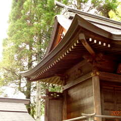 白山神社(投稿日:2025年10月6日) 写真