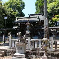 写真