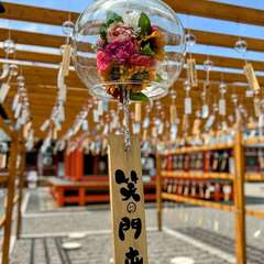 投稿日:2022年8月1日 写真