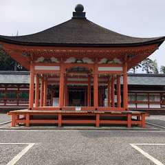 投稿日:2022年3月28日 写真