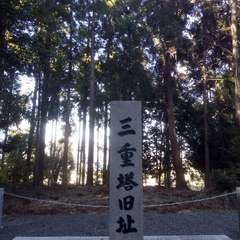 投稿日:2020年12月6日 写真