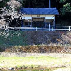 諏訪神社 鳥居からまっすぐ参道が伸びていますが川に橋はなく大きく迂回が必要です。(投稿日:2025年11月20日) 写真