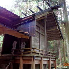 北野神社(投稿日:2025年8月26日) 写真