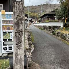 東禅寺(投稿日:2025年2月8日) 写真