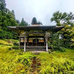 瀧泉院(投稿日:2025年9月20日) 写真