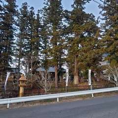 櫻堂薬師(投稿日:2024年12月22日) 写真