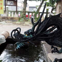 投稿日:2025年8月17日 写真