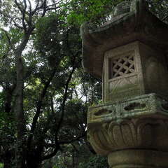 投稿日:2025年8月17日 写真