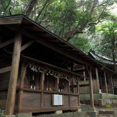 投稿日:2025年8月17日 写真