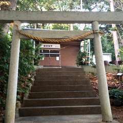 三嶋神社(浜松市中区和合町)(投稿日:2014年12月28日) 写真