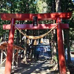 小國神社(投稿日:2025年10月28日) 写真