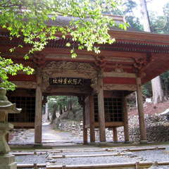 投稿日:2024年7月6日 写真