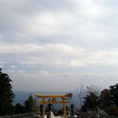 投稿日:2015年12月3日 写真