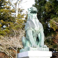 投稿日:2025年8月7日 写真