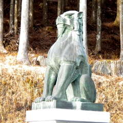 投稿日:2025年8月7日 写真