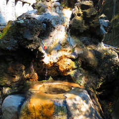 投稿日:2018年4月1日 写真