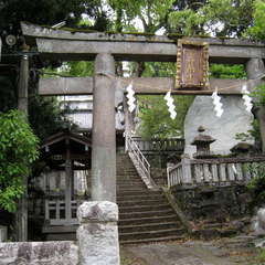 投稿日:2024年6月17日 写真