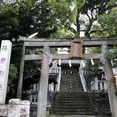 投稿日:2022年7月29日 写真