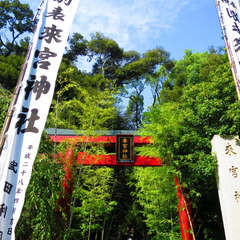 投稿日:2018年4月1日 写真