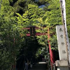 写真