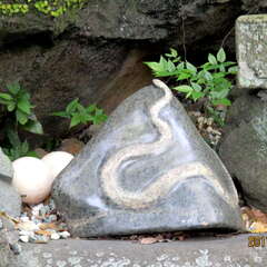 投稿日:2025年7月16日 写真