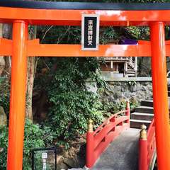 投稿日:2020年3月1日 写真