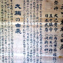 投稿日:2025年7月16日 写真