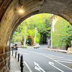 投稿日:2025年8月31日 写真