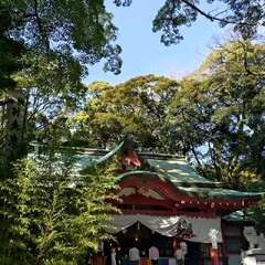 投稿日:2025年2月13日 写真