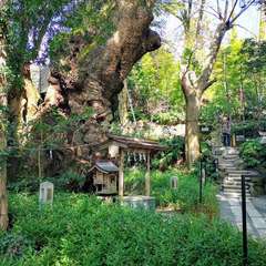 投稿日:2020年2月28日 写真