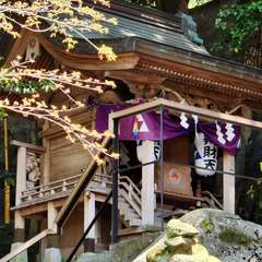 投稿日:2023年12月4日 写真