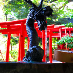 投稿日:2018年4月1日 写真