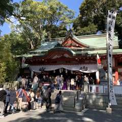 投稿日:2020年2月23日 写真