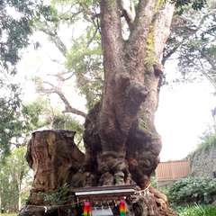 投稿日:2015年9月12日 写真