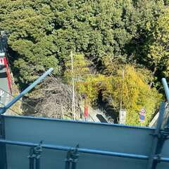 投稿日:2025年2月27日 写真