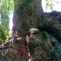 投稿日:2022年7月17日 写真