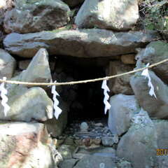 投稿日:2025年7月16日 写真