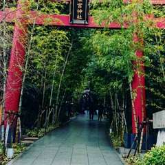 投稿日:2020年3月6日 写真