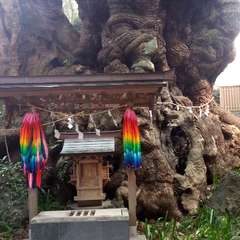 投稿日:2015年9月12日 写真