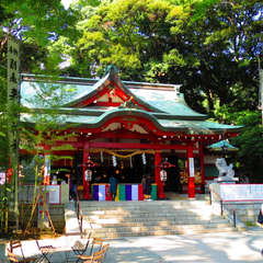 投稿日:2018年4月1日 写真