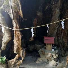 投稿日:2020年3月1日 写真