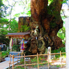 投稿日:2018年4月1日 写真