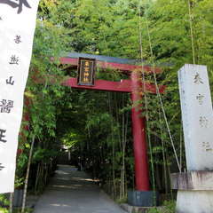 投稿日:2024年5月14日 写真