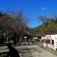 投稿日:2023年3月20日 写真